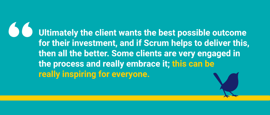 Quote about Scrum and agile methodology