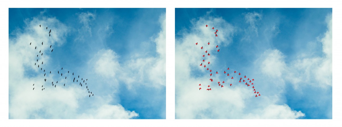 Creating the triangle formation from a flock of birds