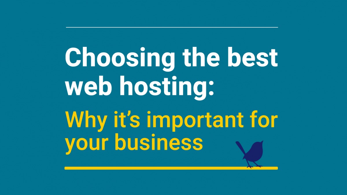 Choosing the best web hosting: Why it’s important for your business